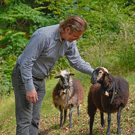 Dreimaederlhaus Am Berg * Pfronten