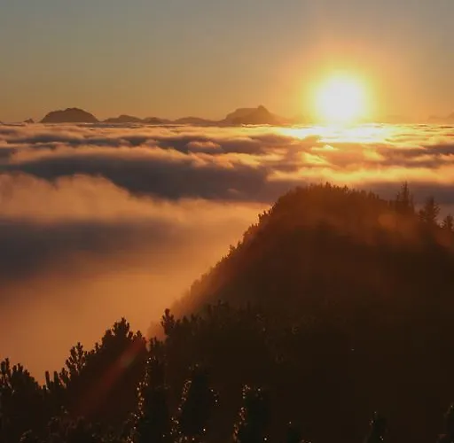 Dreimaederlhaus Am Berg Appartamento *