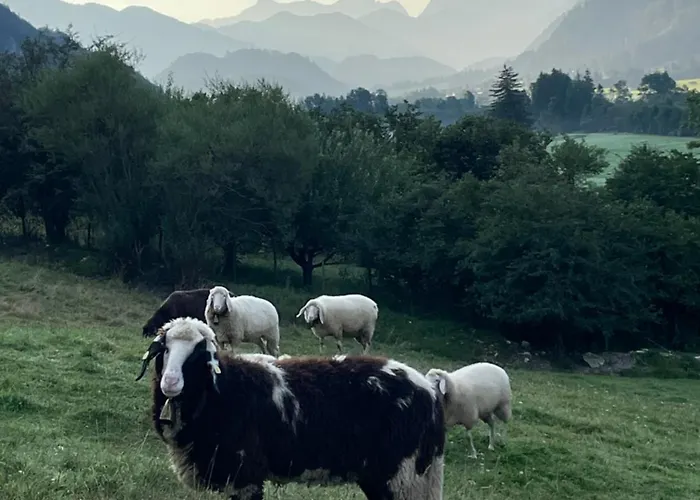 Dreimaederlhaus Am Berg * Pfronten