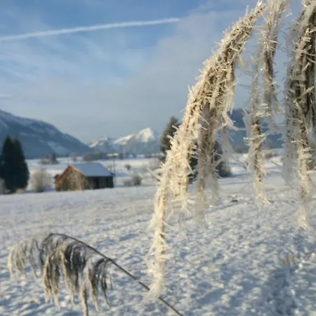 Dreimaederlhaus Am Berg * Pfronten