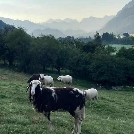 Dreimaederlhaus Am Berg * Pfronten